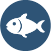 Pescado
